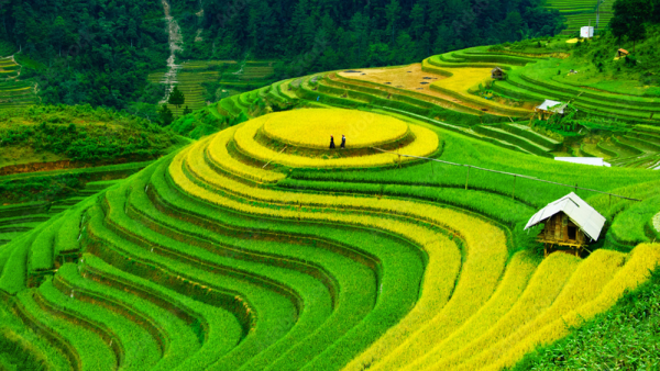 Vietnam Ha Long Bay 5 Nights 7 Days - Image 4