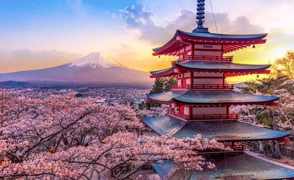 Tokyo, Mount Fuji, and Onsen all in one day - 4 days - Image 5