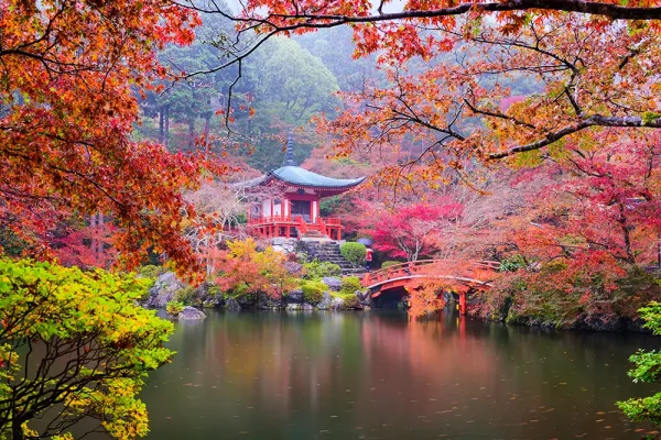 일본 전국투어 크루즈⛴⛴ - Image 3
