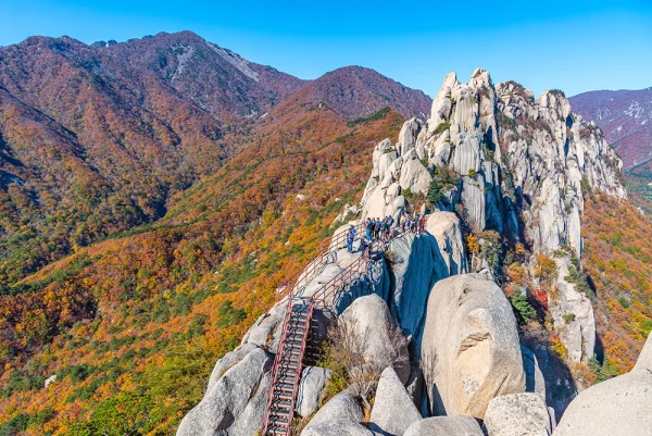 한국 동해권(부산to강릉/남이섬) 투어 7일 - Image 6